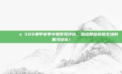 📊💪 509澳甲赛季中期表现评估，盘点那些惊艳全场的黑马球队！