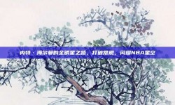 内特·海尔曼的全明星之路，打破常规，闪耀NBA星空