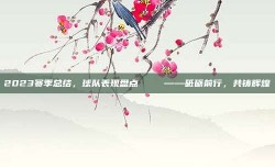 2023赛季总结，球队表现盘点 📊——砥砺前行，共铸辉煌