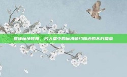 篮球魔法传奇，名人堂中的魔术师约翰逊的不朽篇章