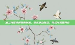 法兰克福锋线球员伤退，球队状态波动，挑战与机遇并存