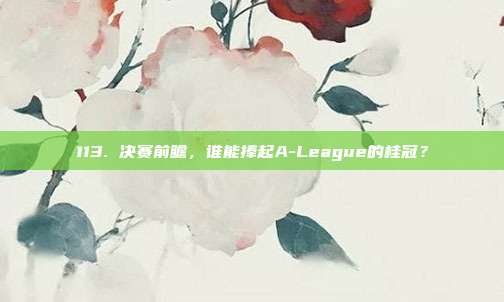 113. 决赛前瞻，谁能捧起A-League的桂冠？  第1张