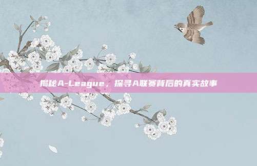 揭秘A-League，探寻A联赛背后的真实故事  第1张