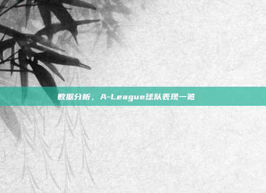 数据分析，A-League球队表现一览📊  第1张