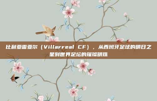 比利亚雷亚尔（Villarreal CF），从西班牙足球的明日之星到世界足坛的璀璨明珠  第1张