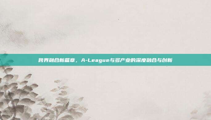 跨界融合新篇章，A-League与多产业的深度融合与创新  第1张