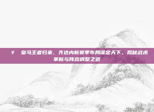 🥇 皇马王者归来，齐达内新赛季布局谋定天下，揭秘战术革新与阵容调整之道  第1张