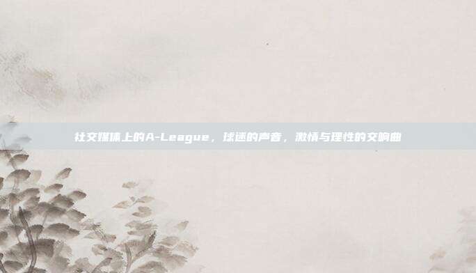 社交媒体上的A-League，球迷的声音，激情与理性的交响曲  第1张