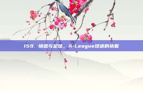 159. 情感与足球，A-League球迷的执着  第1张