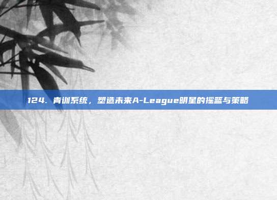 124. 青训系统，塑造未来A-League明星的摇篮与策略  第1张