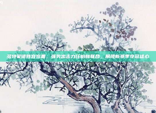 多特蒙德阵容完备，强势出击力压柏林联合，展现新赛季夺冠雄心  第1张